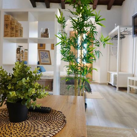 Apartamento Astaregia 赫雷斯 外观 照片
