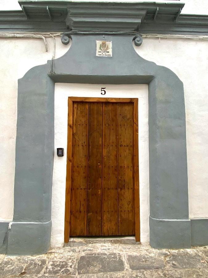 Apartamento Astaregia 赫雷斯 外观 照片